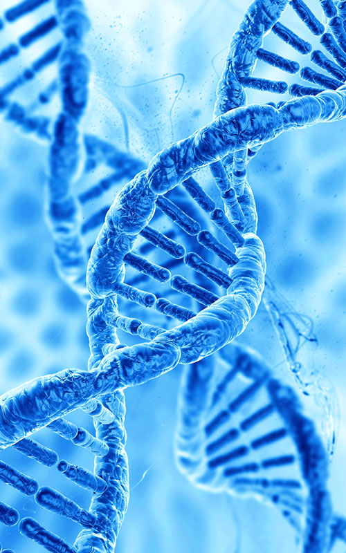 PDRN (بولي ديوكسي ريبونوكليوتيد)